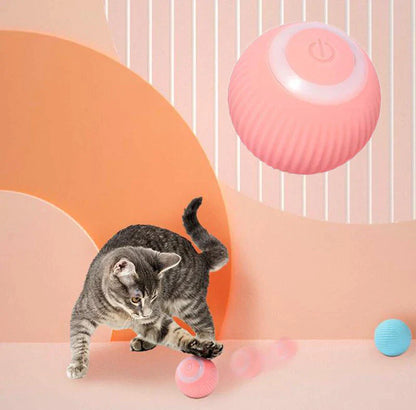 Interactive pet Ball