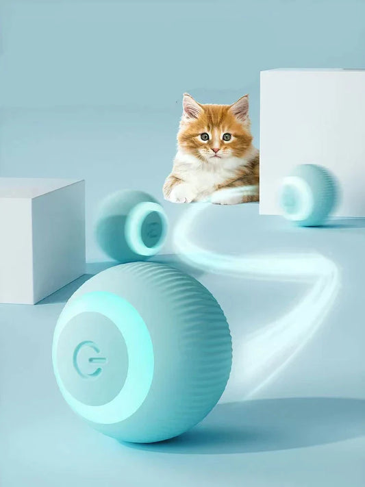 Interactive pet Ball